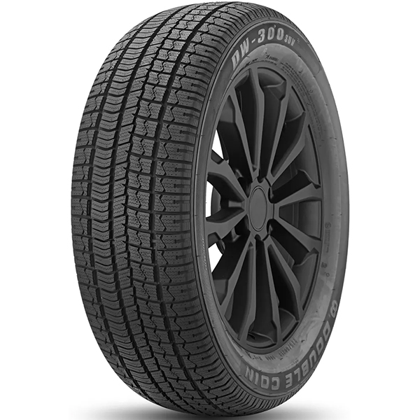 DW-300 205/55 R16 94V