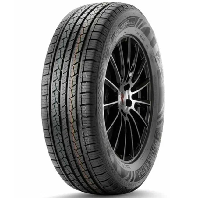 DS01 225/60 R17 99H