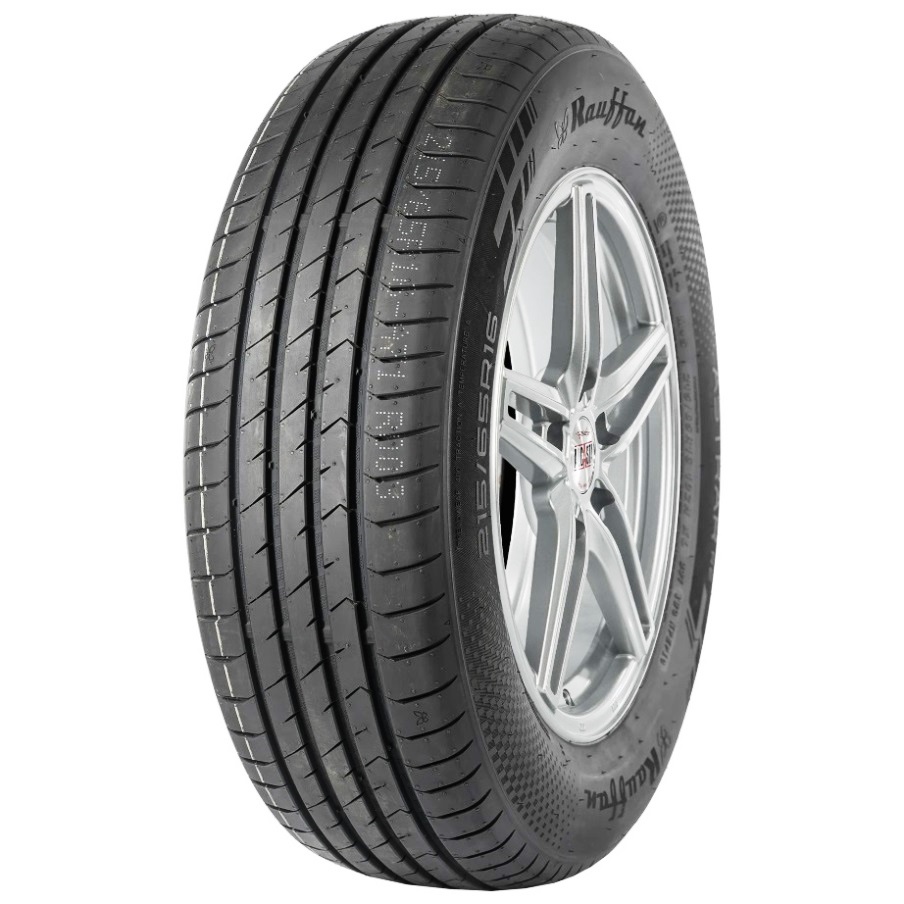 205/55 R16 Rauffan Astrar R2 91V