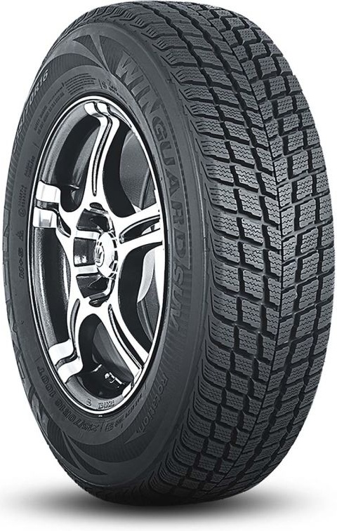 255/50 R19 Roadstone Winguard SUV 107V