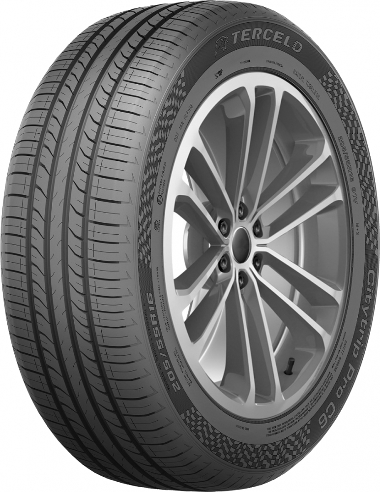 Citytrip Pro C6 195/55 R16 91V
