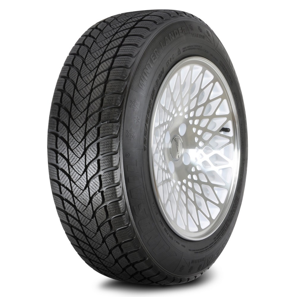 WINTER LANDER 225/55 R17 97H
