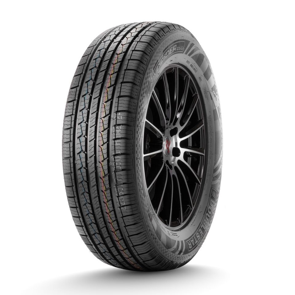 DS01 255/55 R20 110V