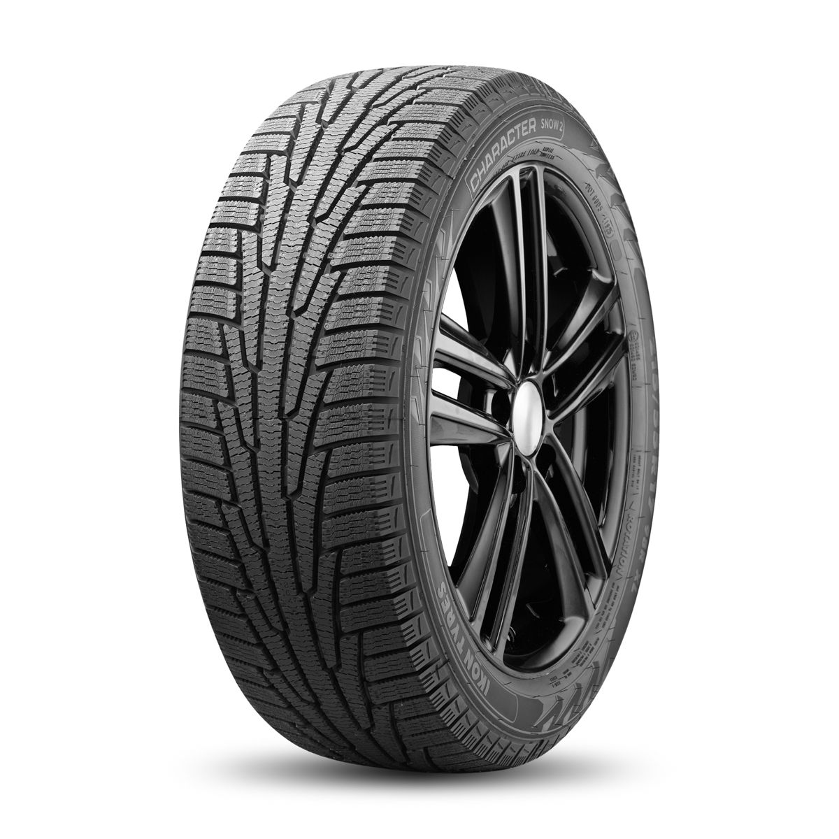 Character Snow 2 (Nordman RS2) 195/55 R16 91R